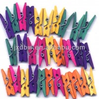 20000PCS Wholesale 2.5cm Colored Mini Wood Clothes Pegs